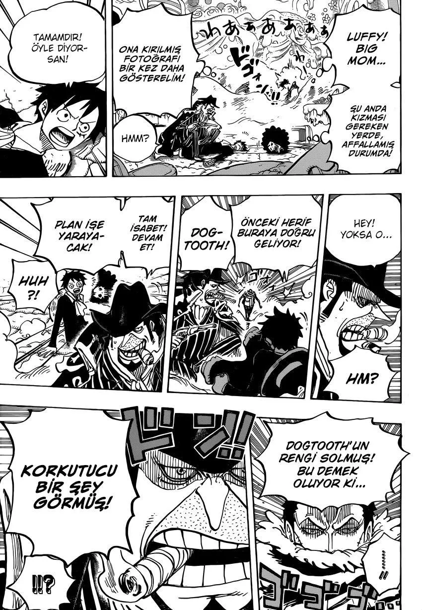 One Piece - Sayfa 15