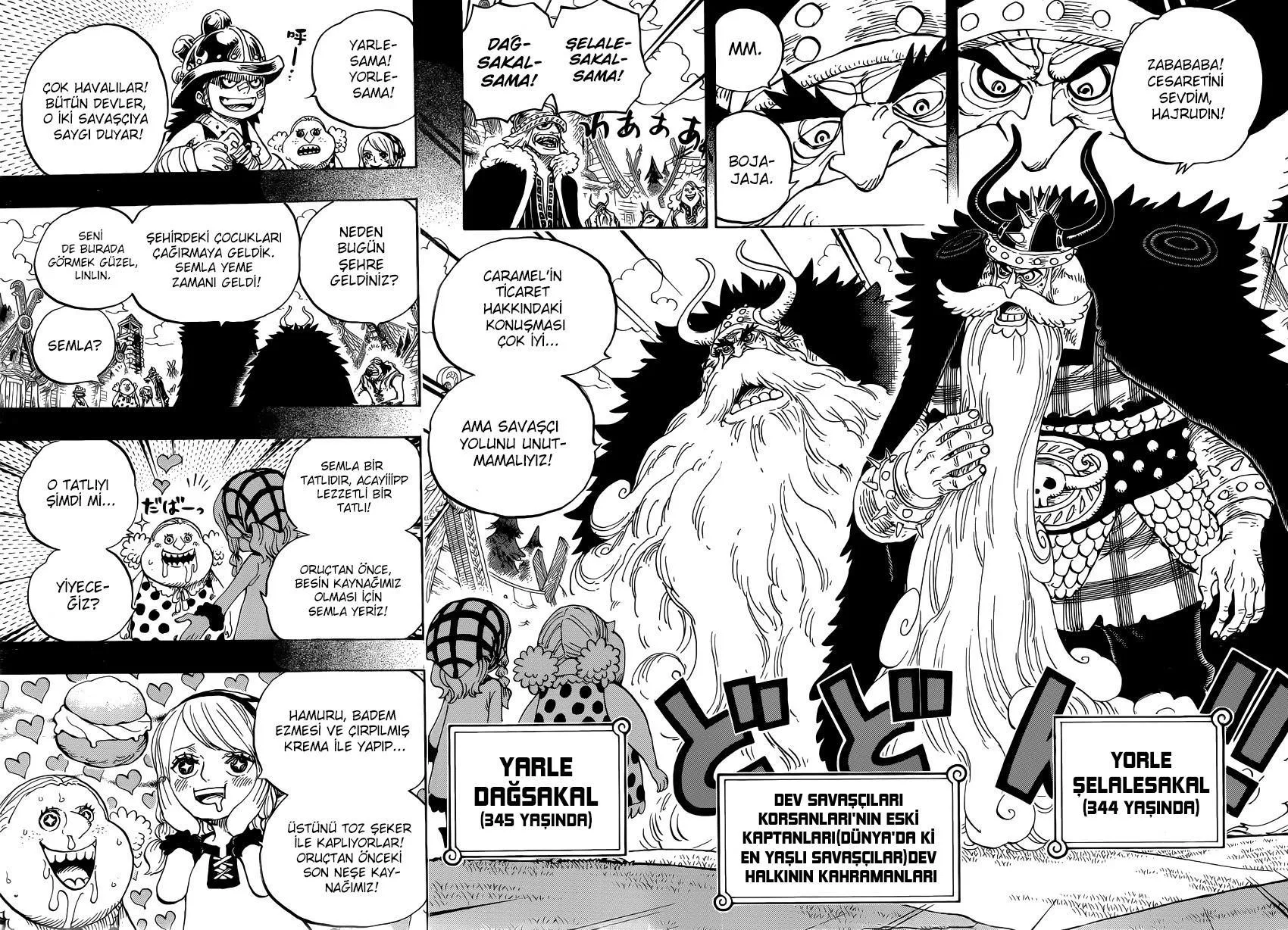 One Piece - Sayfa 12