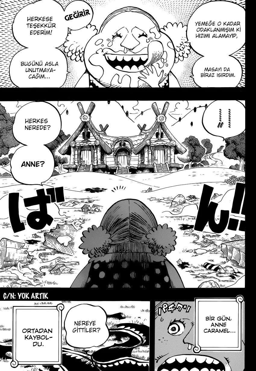 One Piece - Sayfa 14