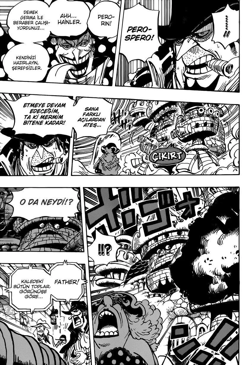 One Piece - Sayfa 14