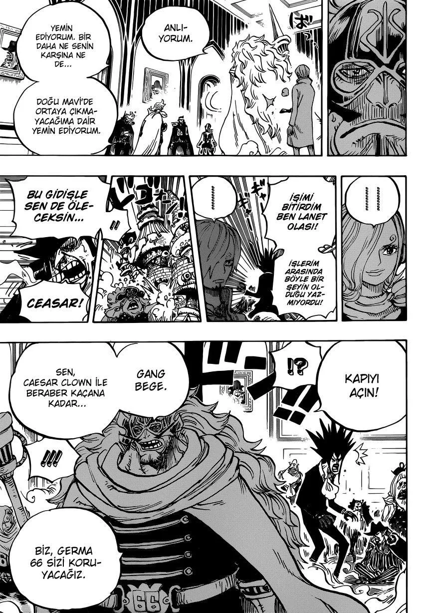 One Piece - Sayfa 12