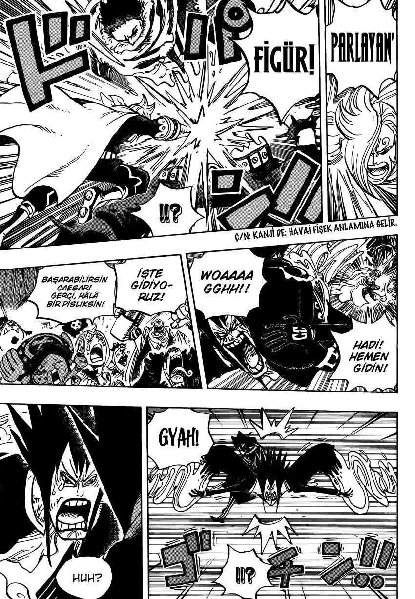 One Piece - Sayfa 14