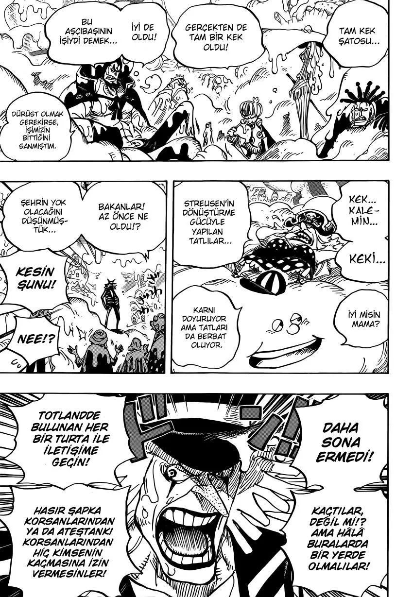 One Piece - Sayfa 12