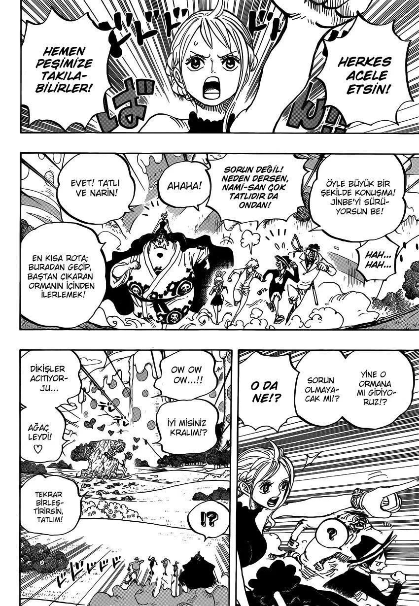 One Piece - Sayfa 14