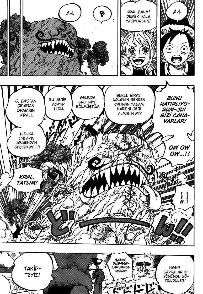 One Piece - Sayfa 15