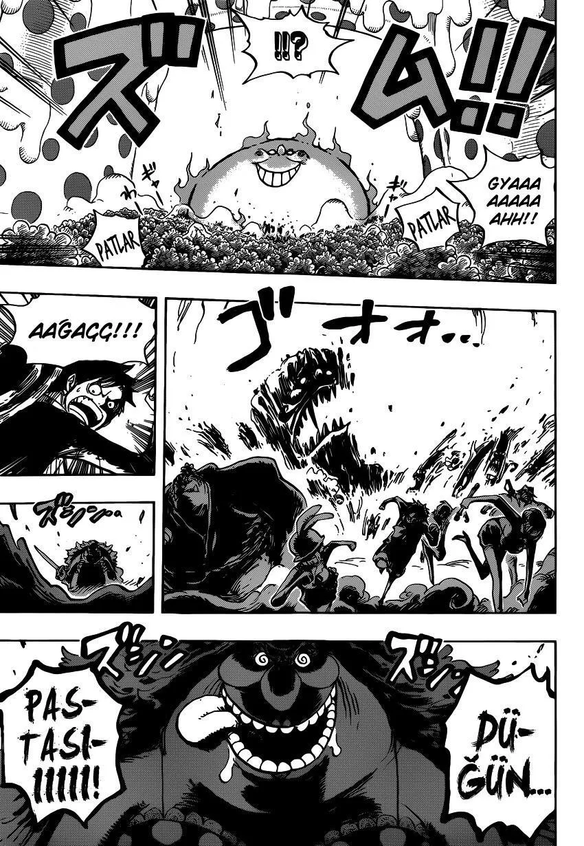 One Piece - Sayfa 13
