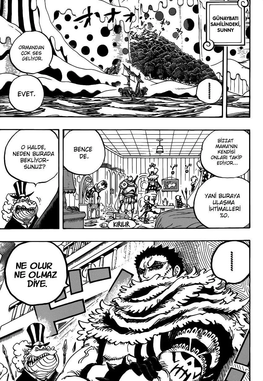 One Piece - Sayfa 15