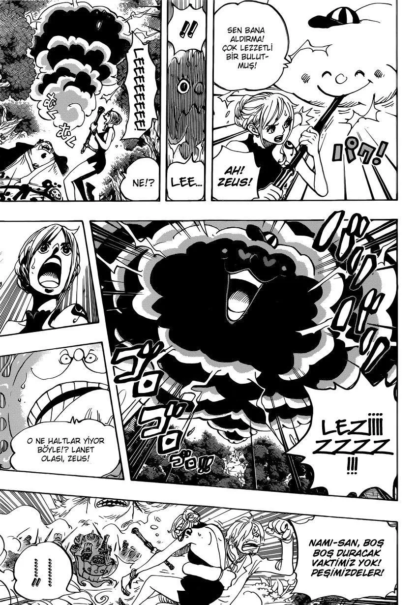 One Piece - Sayfa 12