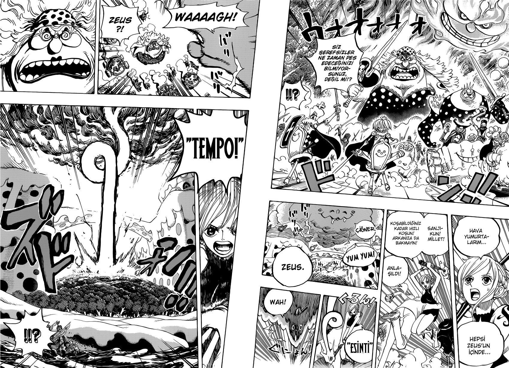 One Piece mangasının 0875 bölümünün 13. sayfasını okuyorsunuz.