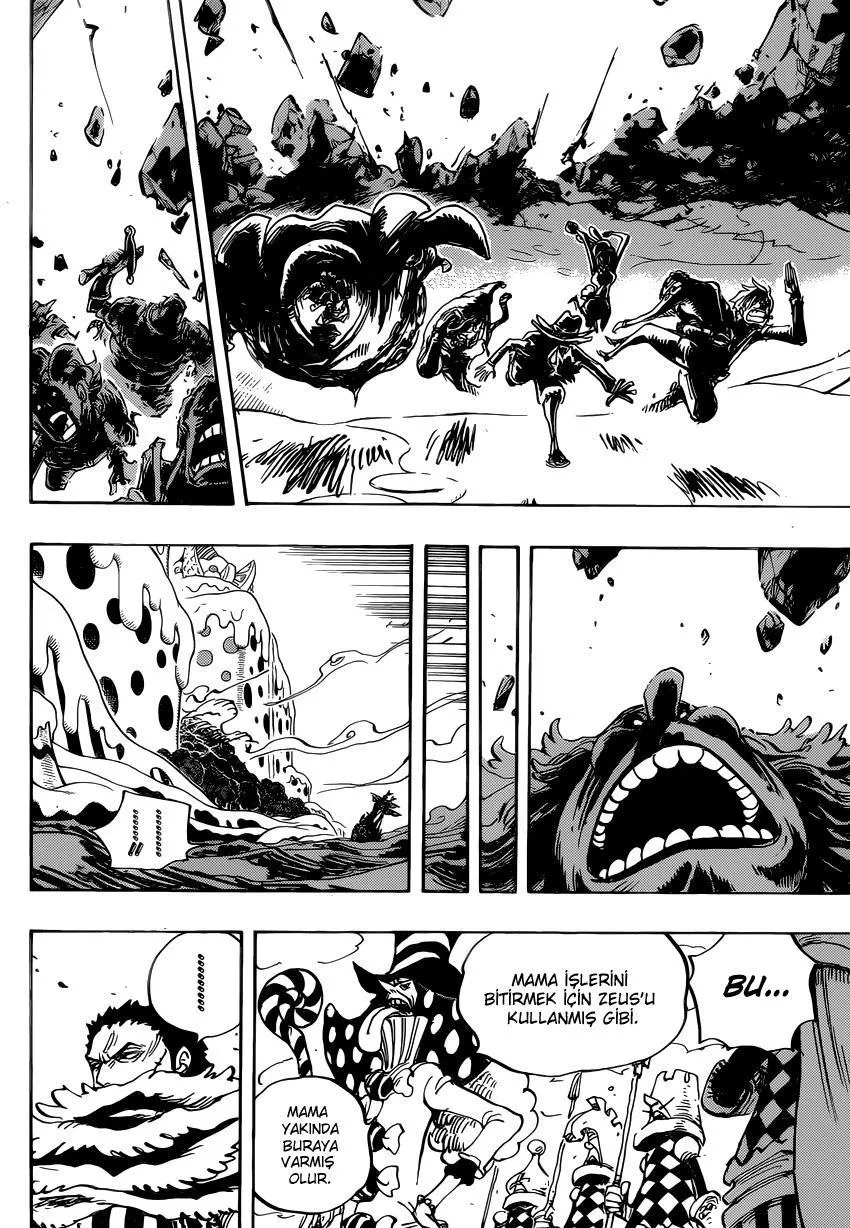 One Piece - Sayfa 14