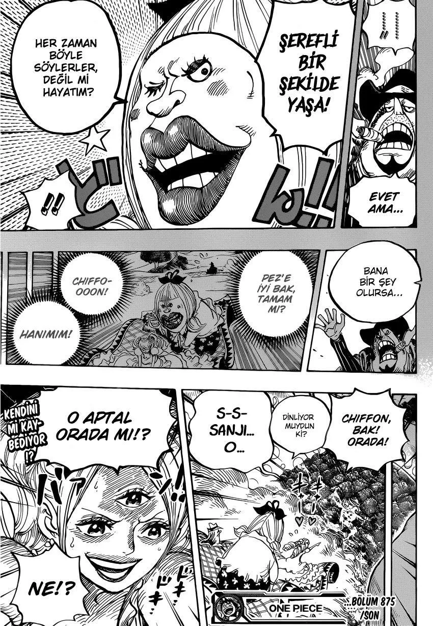 One Piece - Sayfa 17