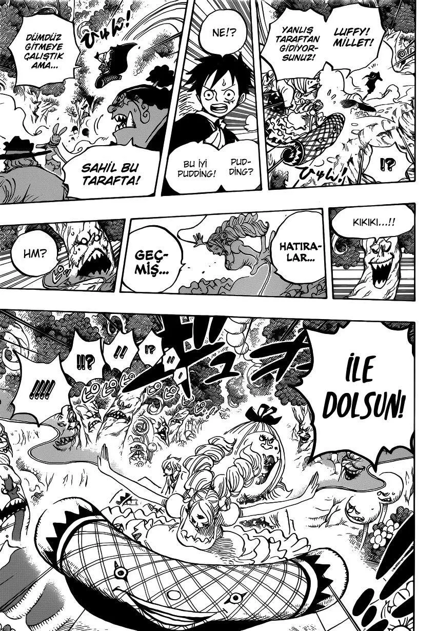 One Piece - Sayfa 13