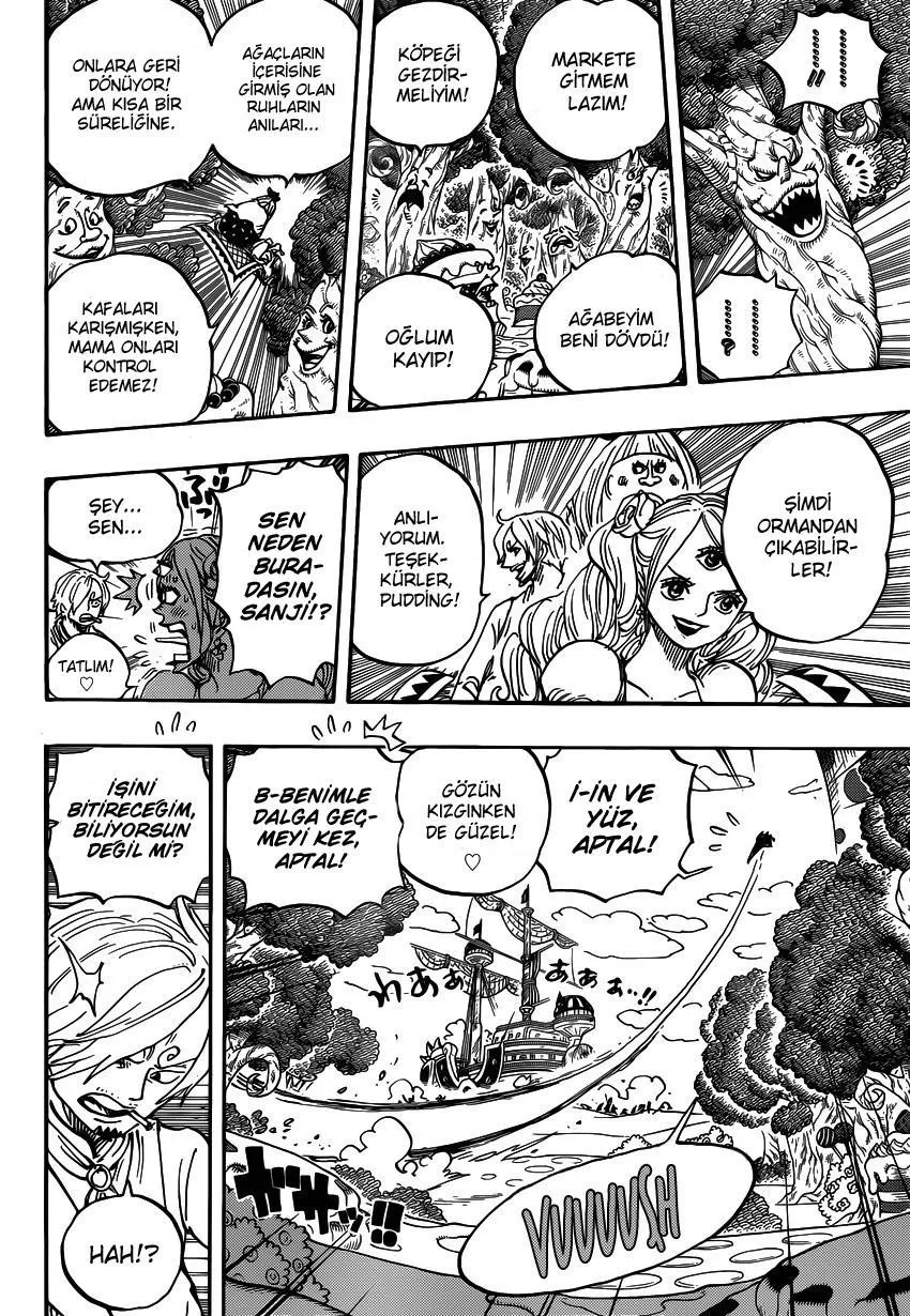 One Piece - Sayfa 14