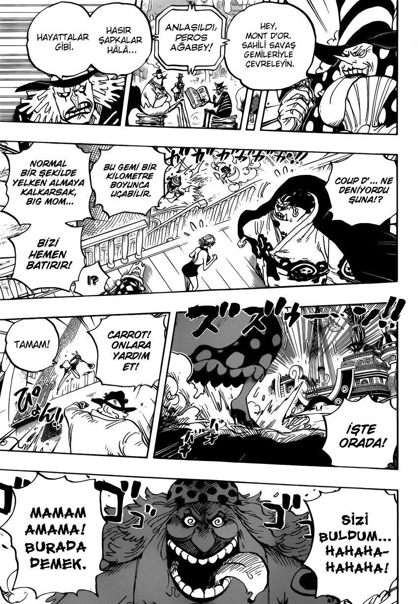 One Piece - Sayfa 13