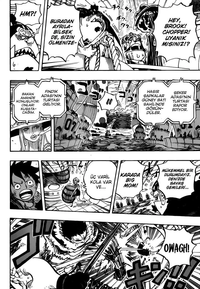 One Piece - Sayfa 14
