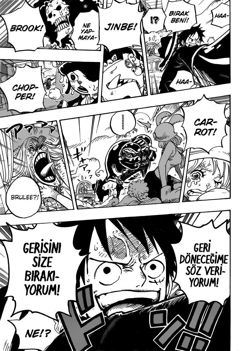 One Piece mangasının 0878 bölümünün 15. sayfasını okuyorsunuz.