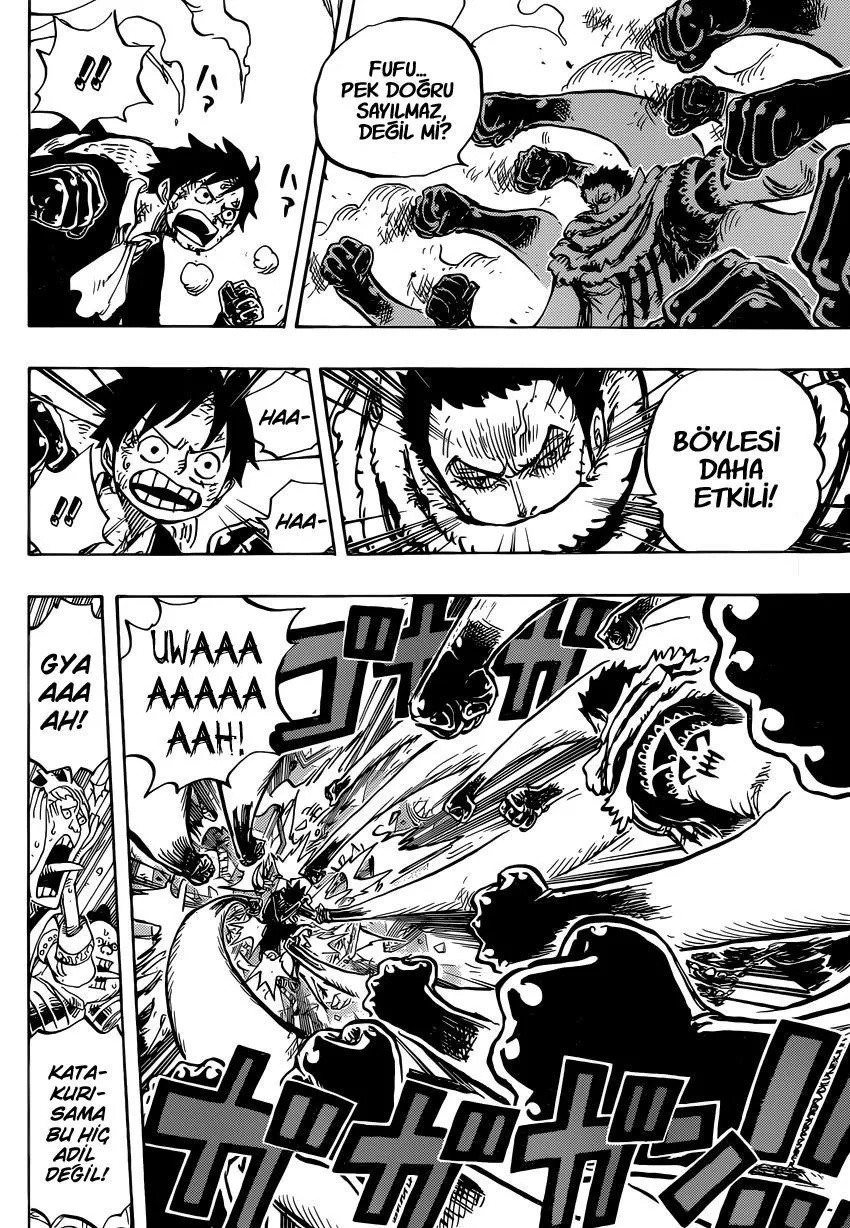 One Piece - Sayfa 13