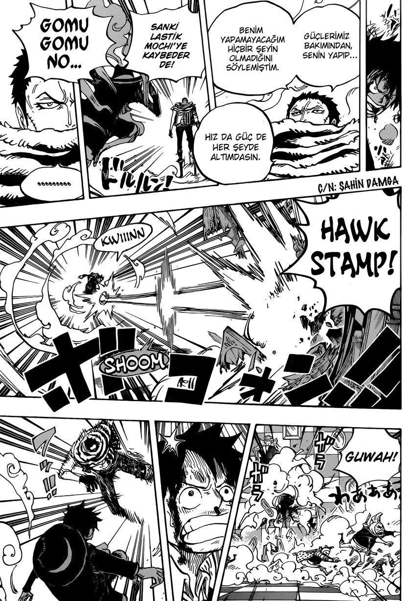 One Piece - Sayfa 14