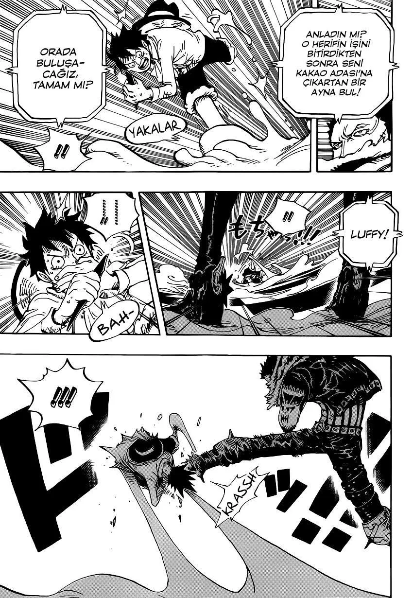 One Piece - Sayfa 13