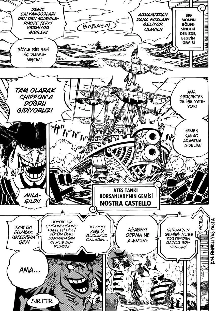 One Piece - Bölüm 0882 - Sayfa 15