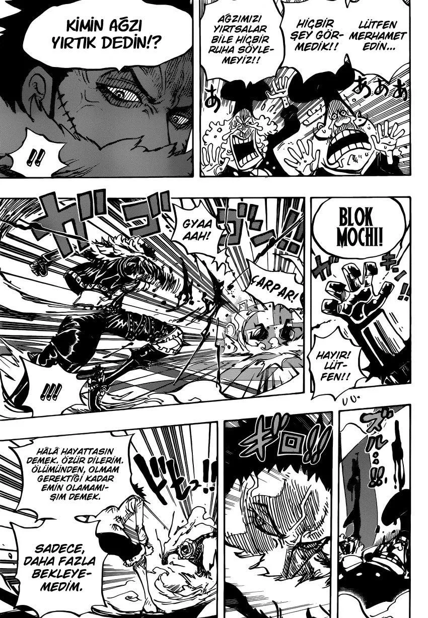One Piece - Sayfa 13