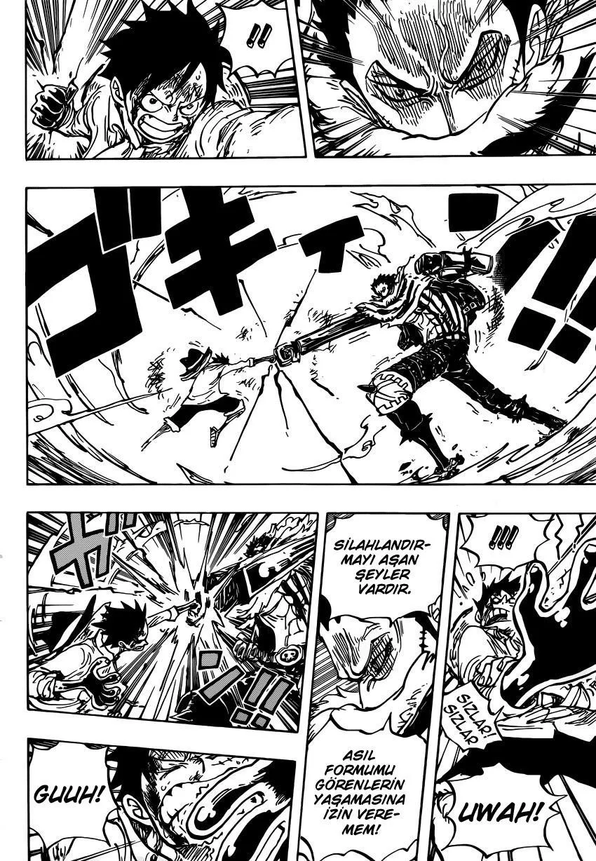 One Piece - Sayfa 14