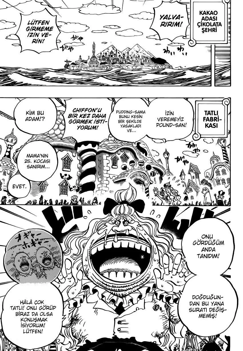 One Piece - Sayfa 12