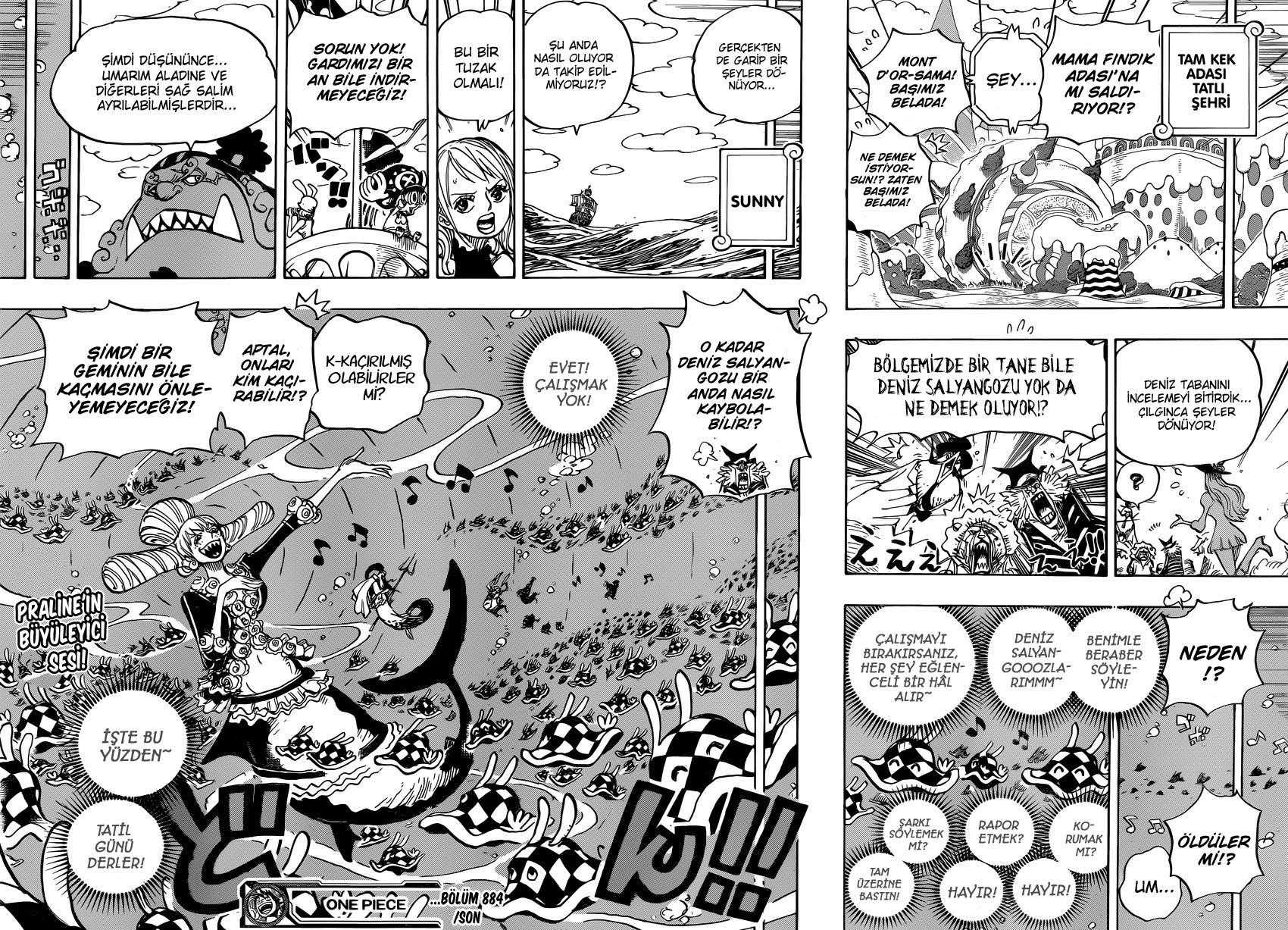 One Piece mangasının 0884 bölümünün 17. sayfasını okuyorsunuz.