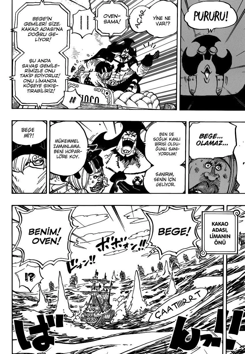 One Piece - Sayfa 12