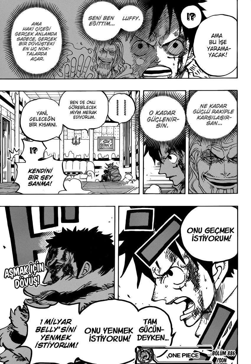 One Piece - Bölüm 0886 - Sayfa 19