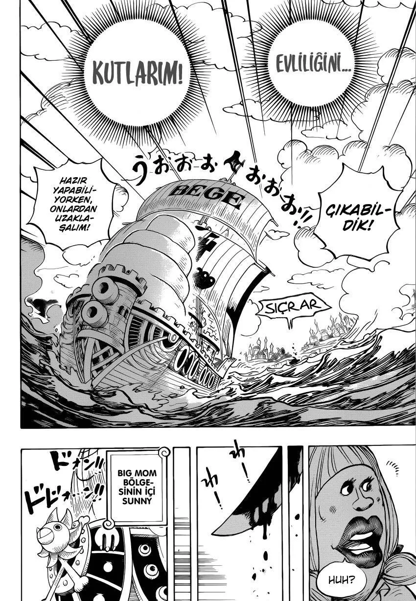 One Piece - Sayfa 15