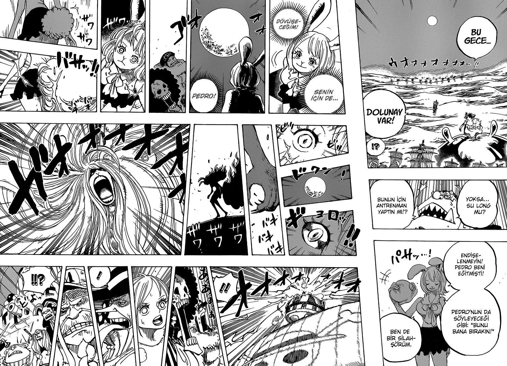 One Piece - Sayfa 10
