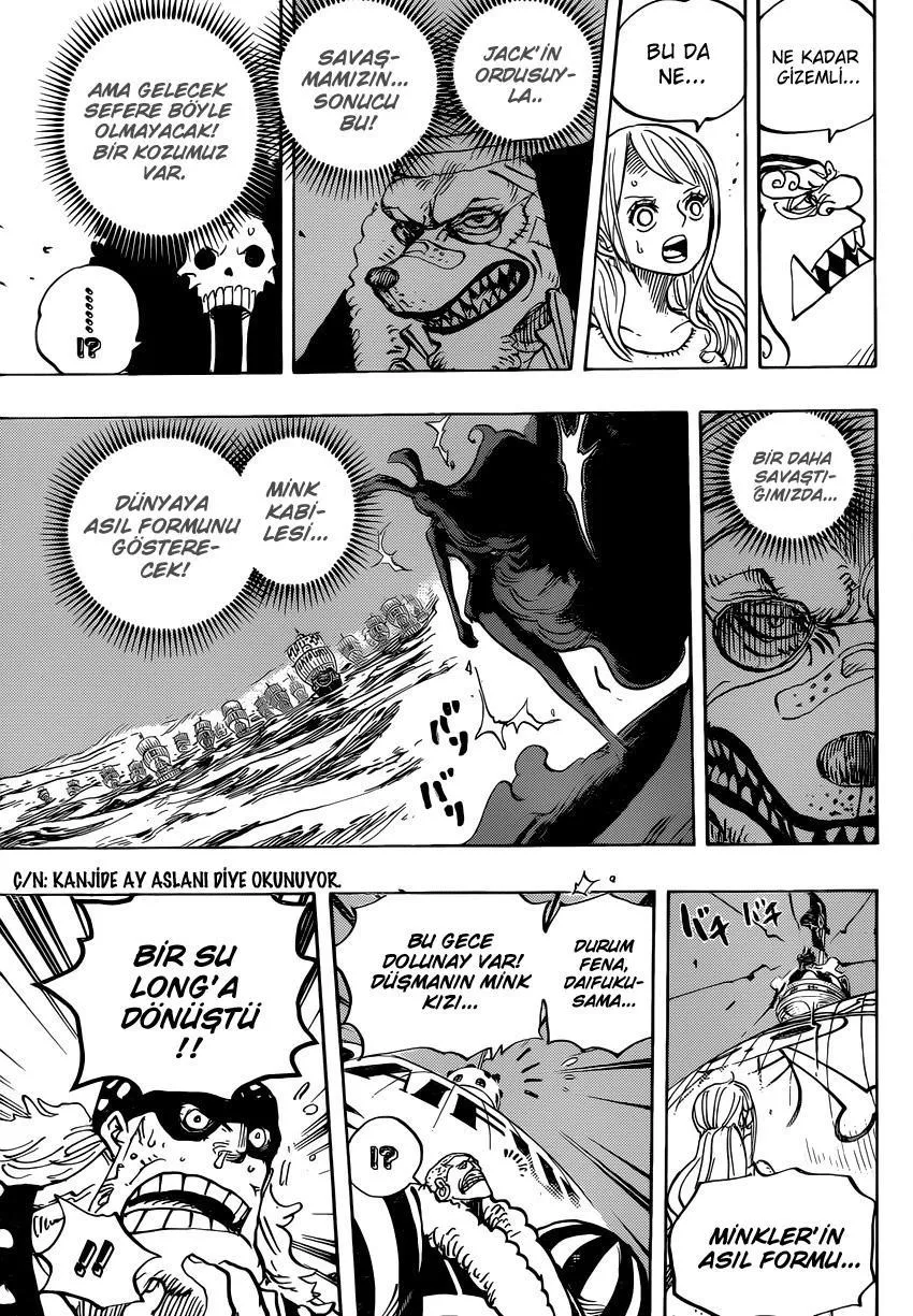 One Piece - Sayfa 12