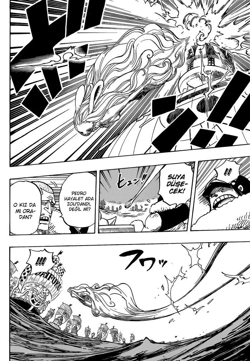 One Piece - Sayfa 13