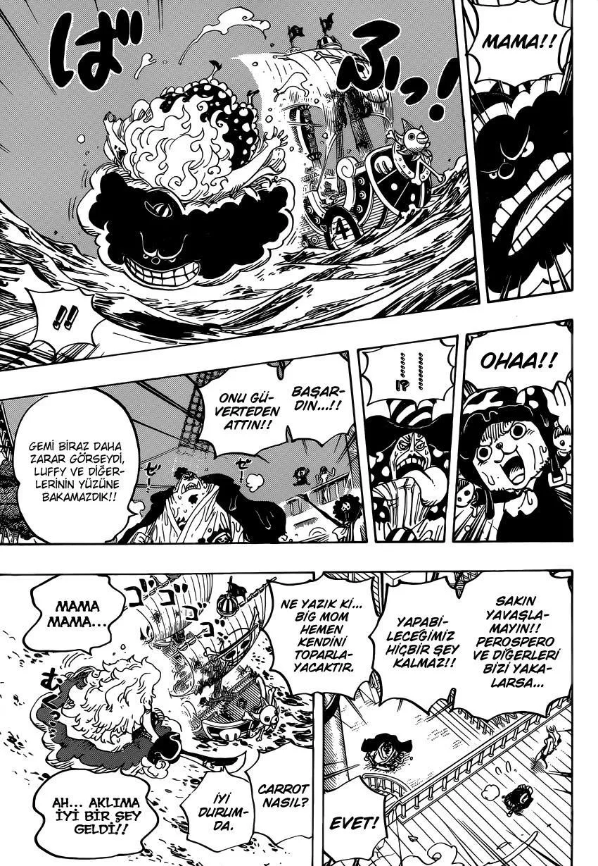 One Piece - Sayfa 12