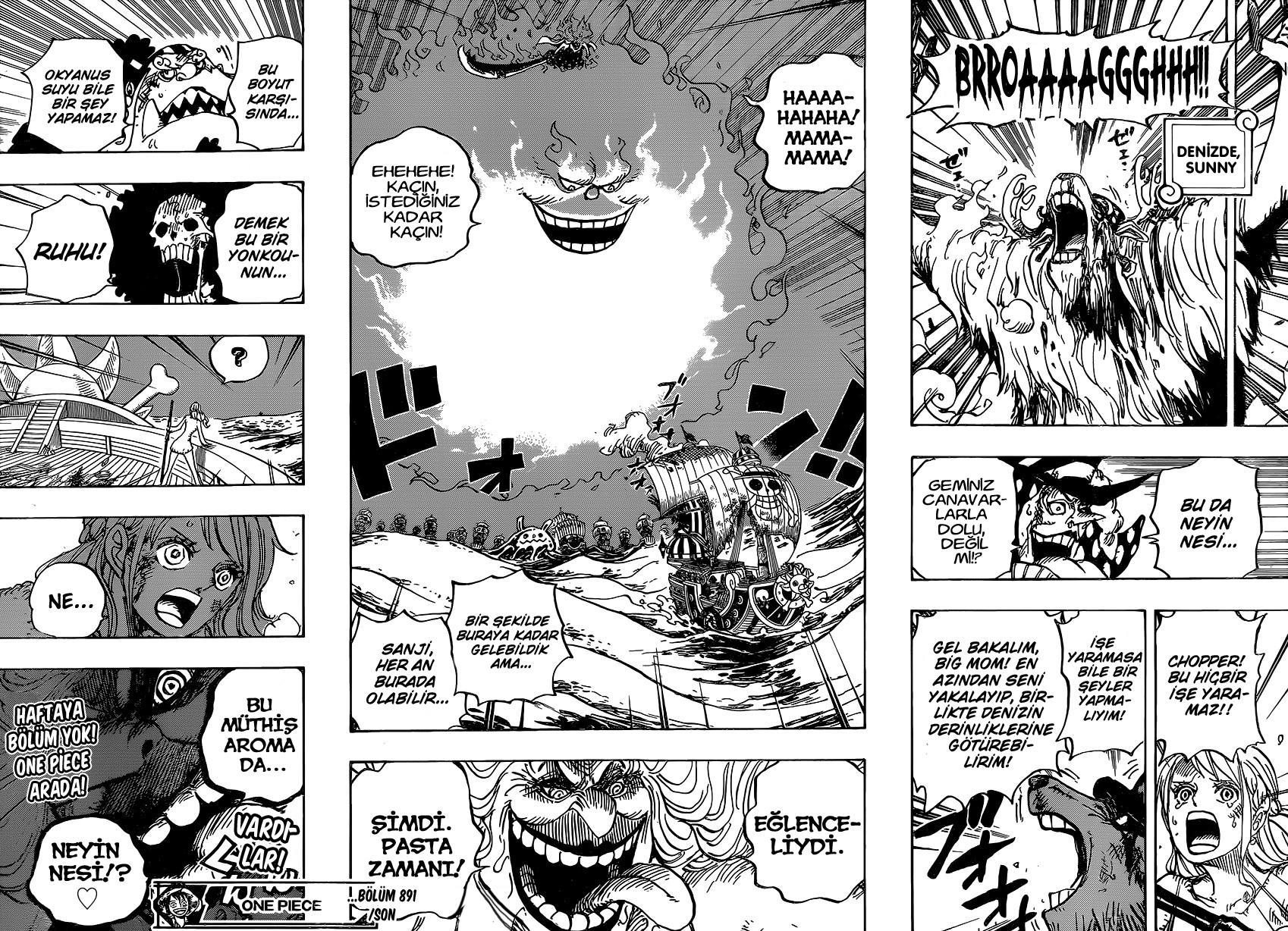 One Piece mangasının 0891 bölümünün 16. sayfasını okuyorsunuz.