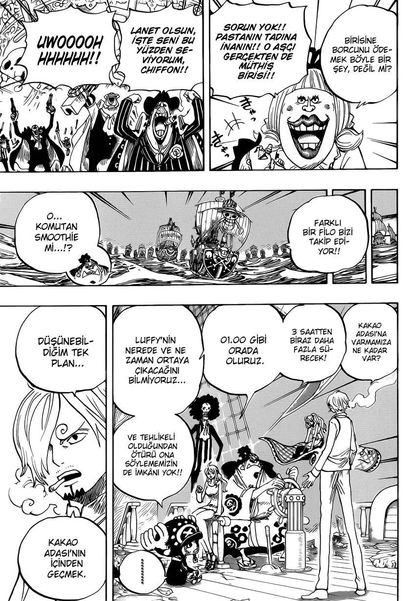One Piece - Sayfa 14