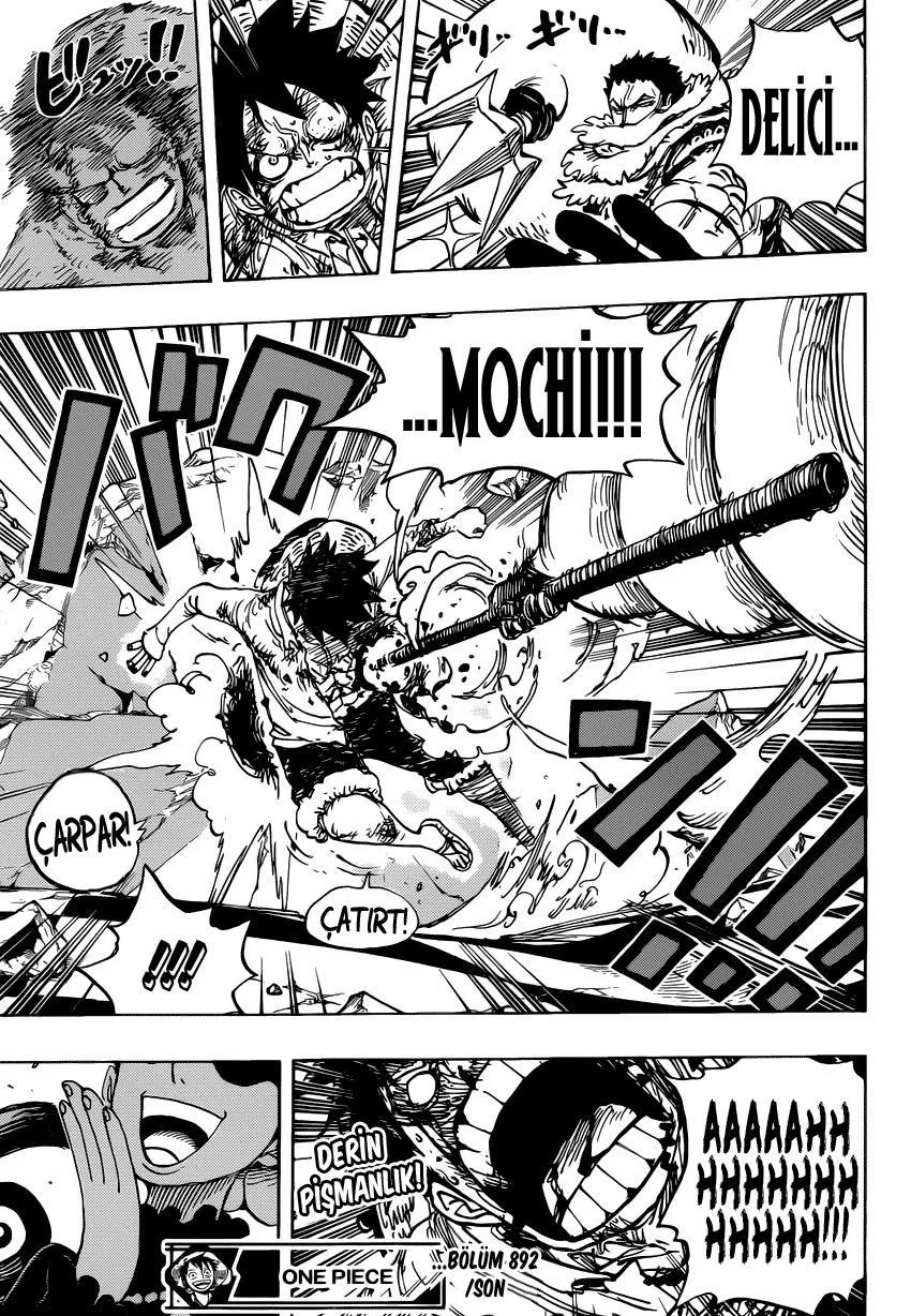 One Piece - Sayfa 17