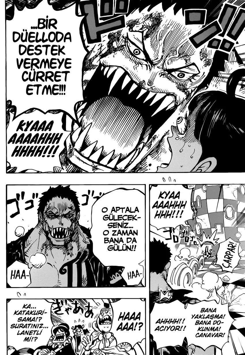 One Piece - Sayfa 13