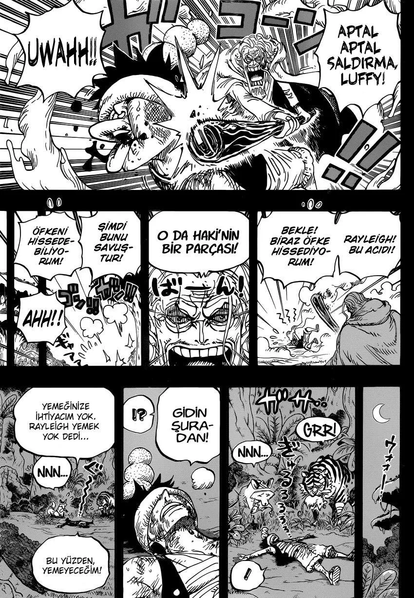 One Piece - Sayfa 4