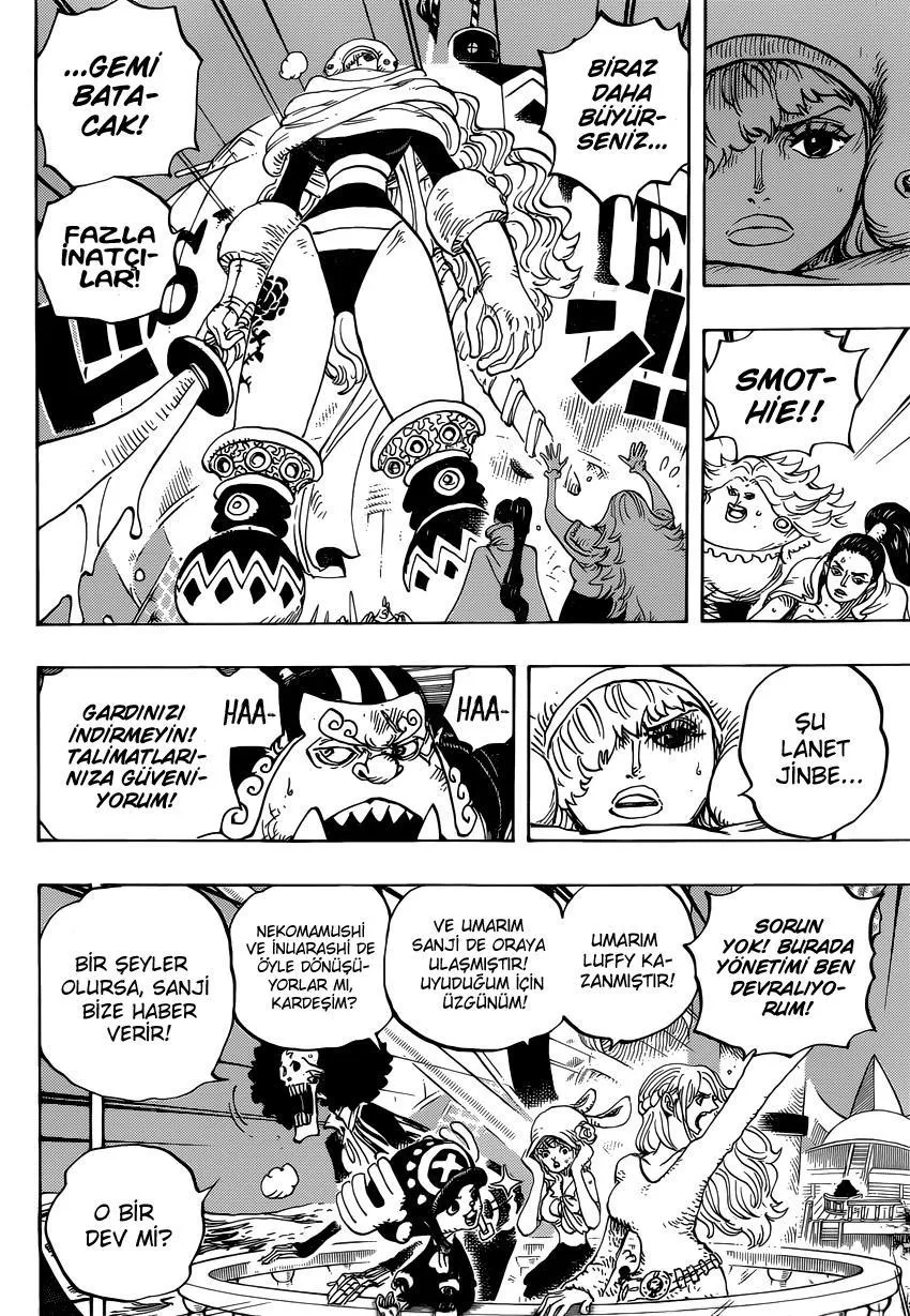 One Piece - Sayfa 13