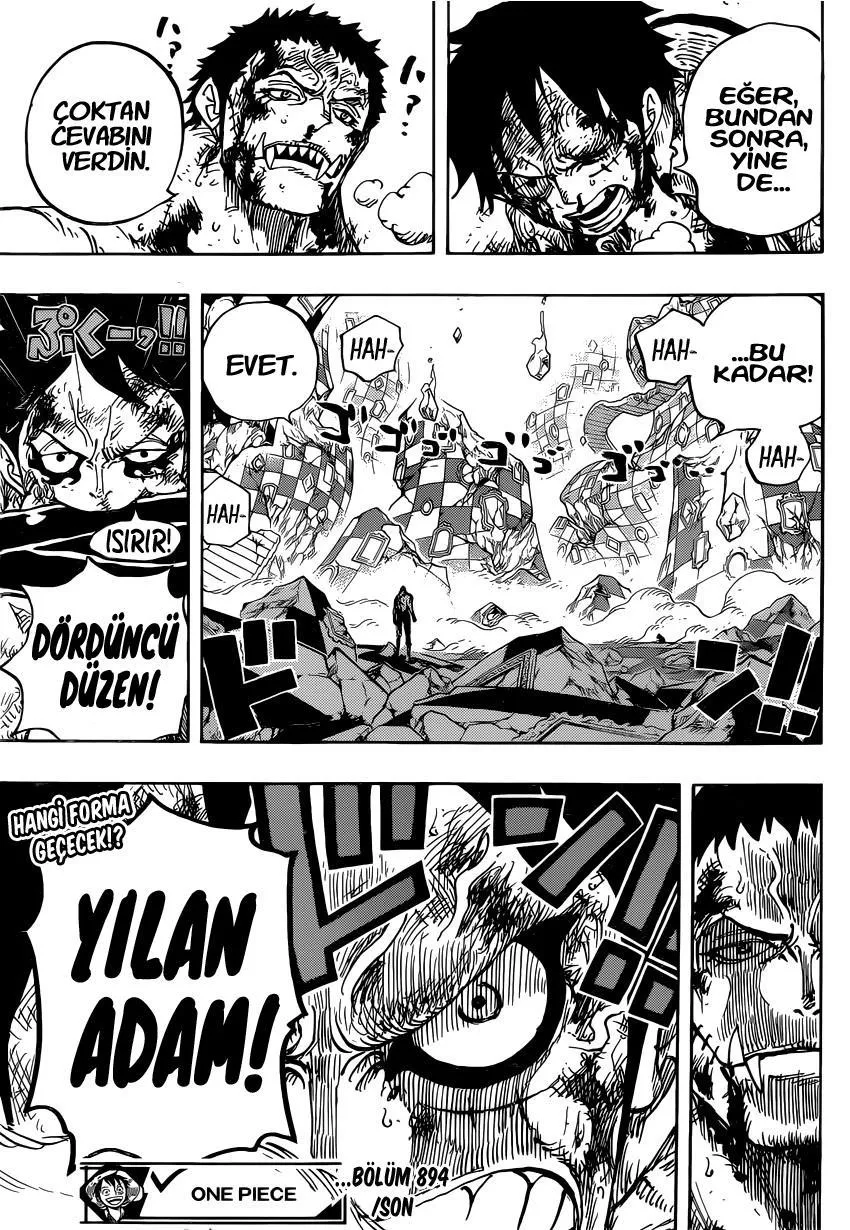 One Piece - Sayfa 17