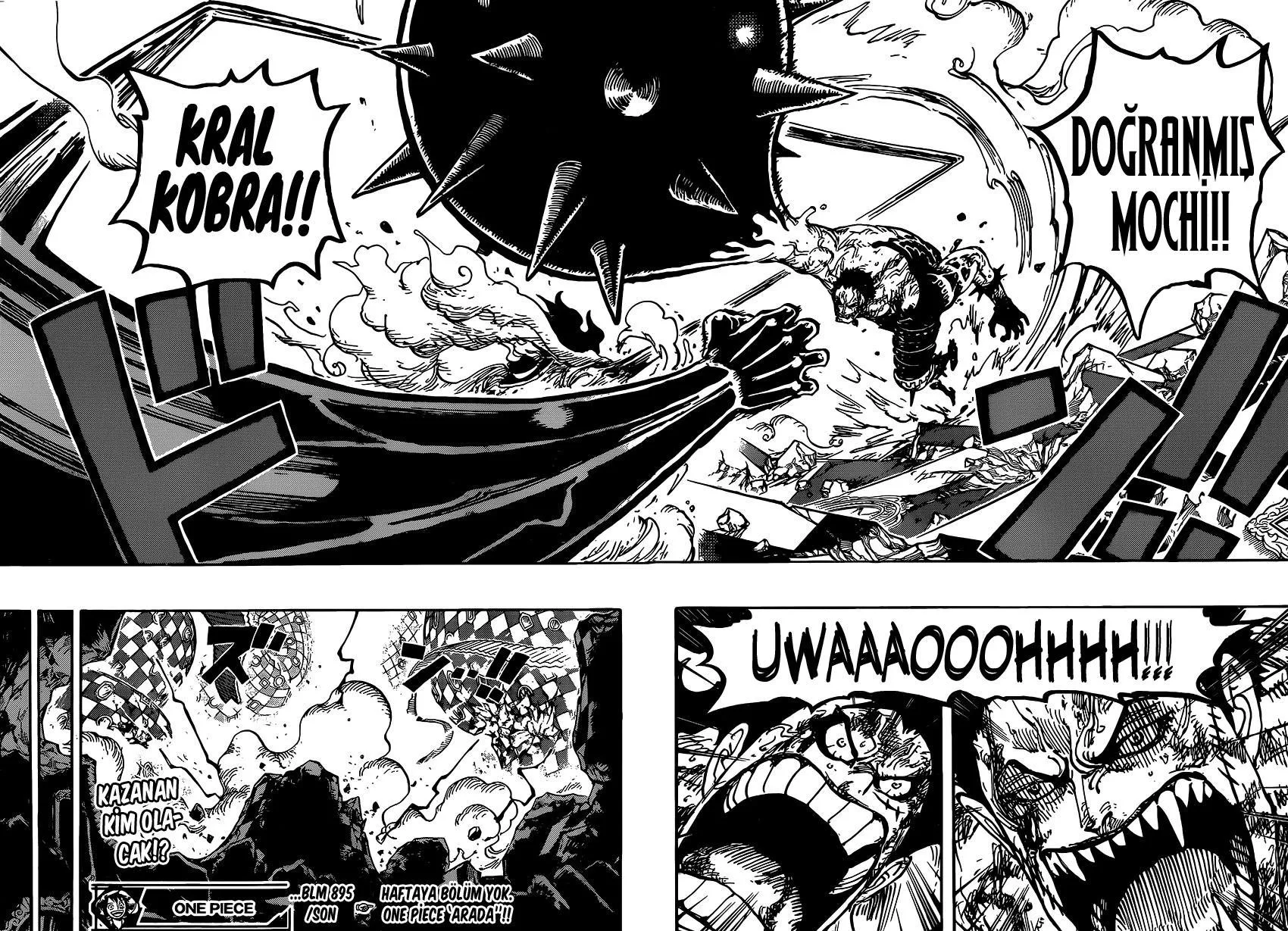 One Piece - Sayfa 16