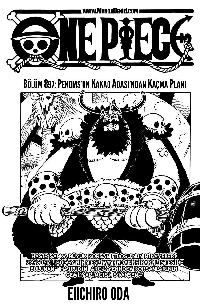One Piece - Sayfa 2