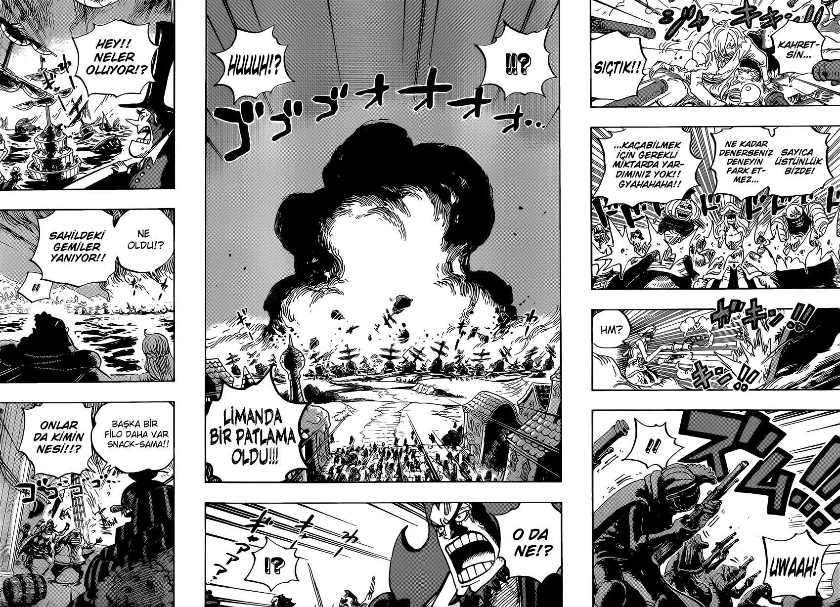 One Piece - Sayfa 14