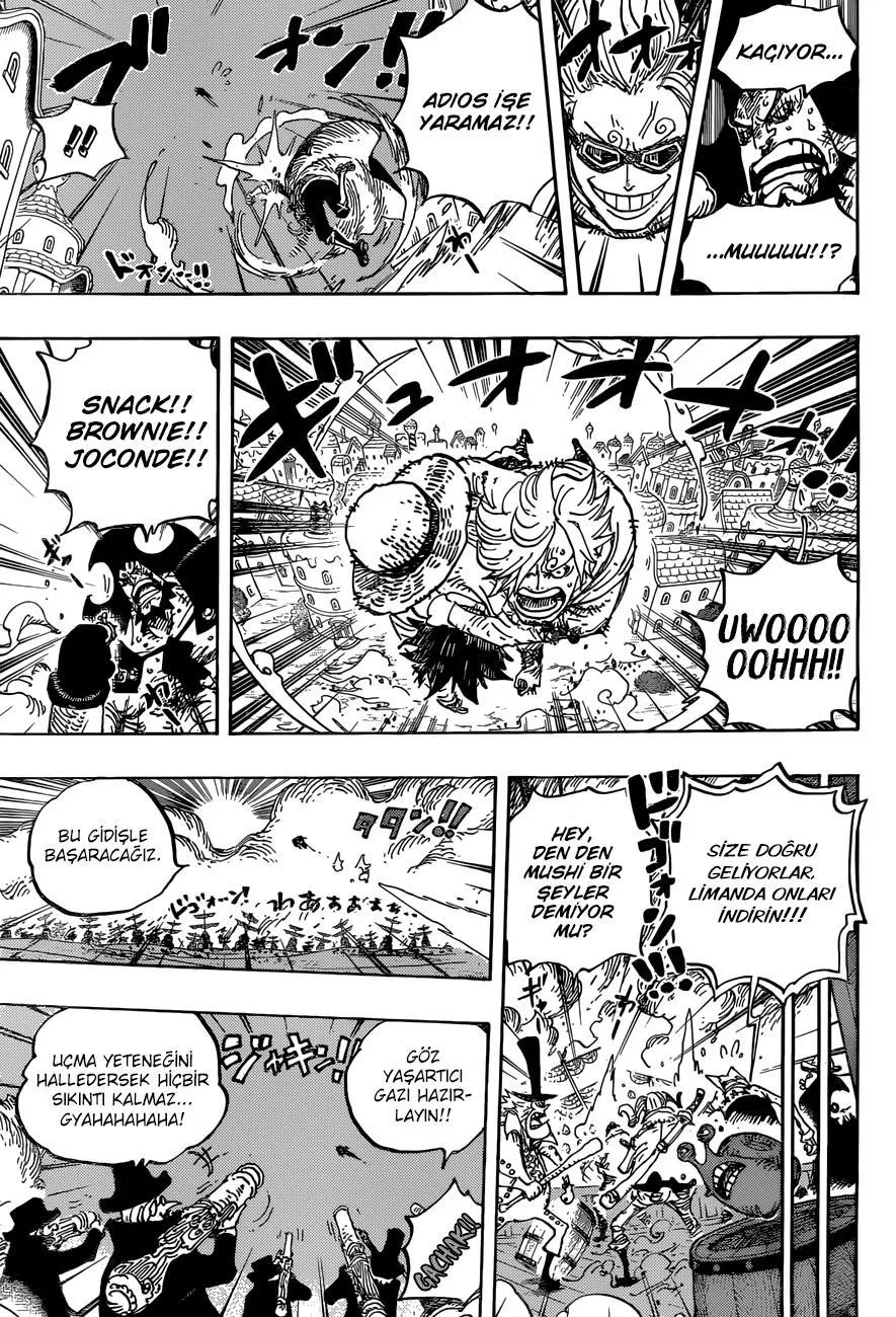 One Piece - Sayfa 13