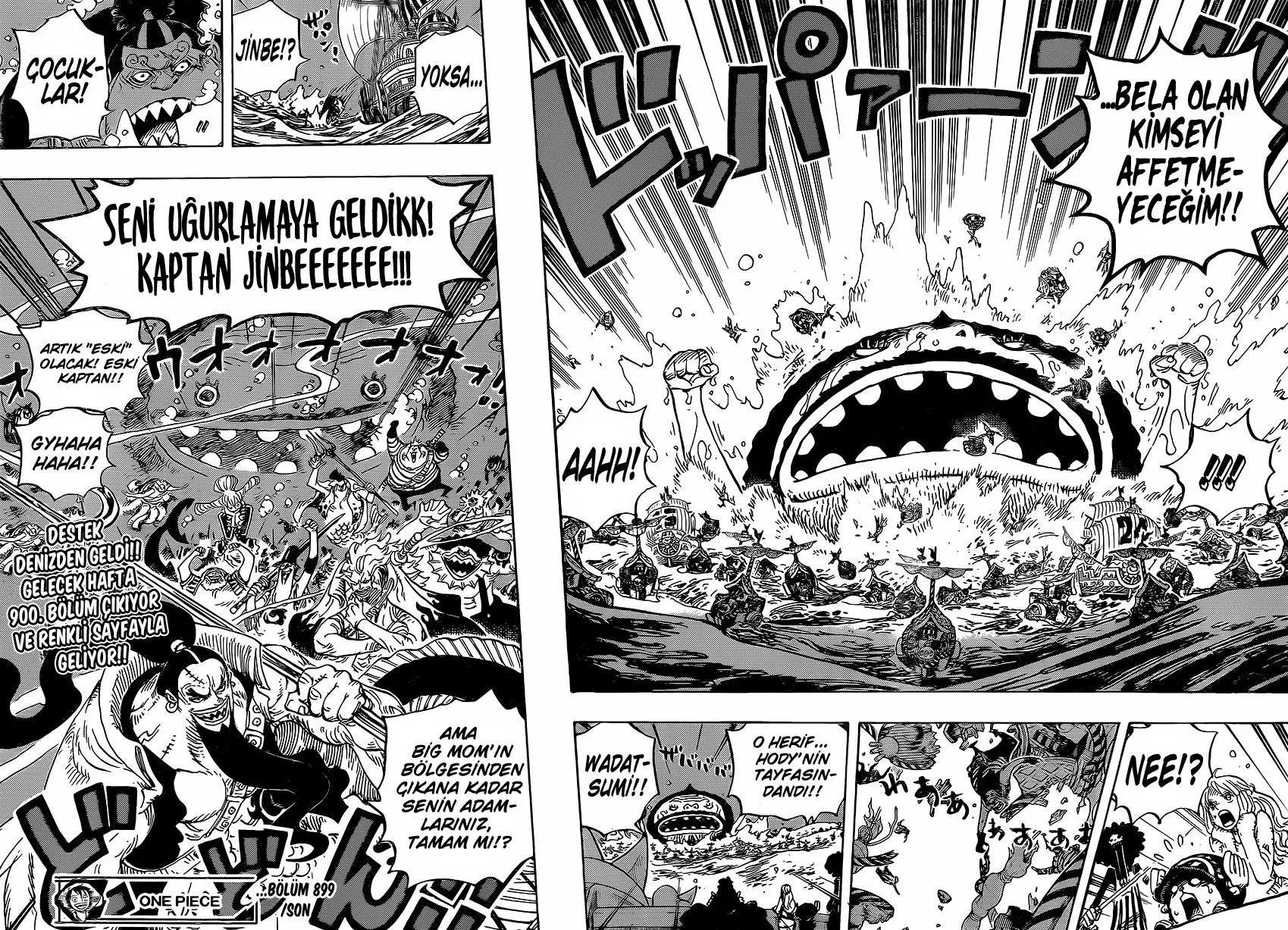 One Piece - Sayfa 17