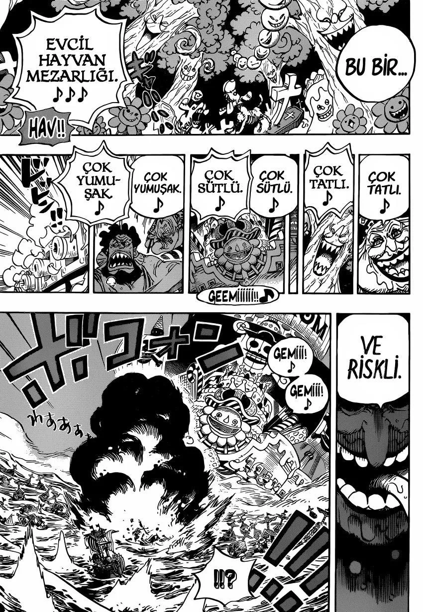 One Piece - Sayfa 13