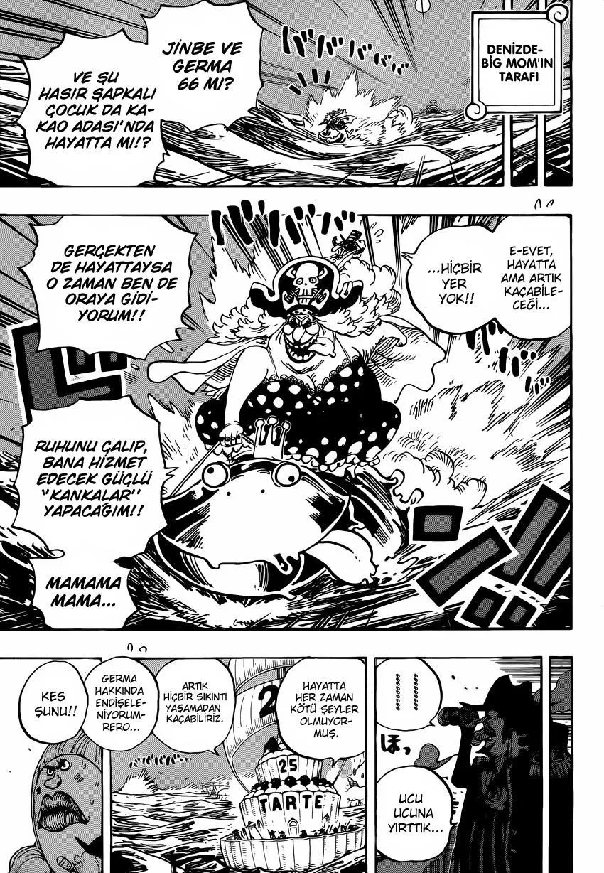 One Piece - Sayfa 15
