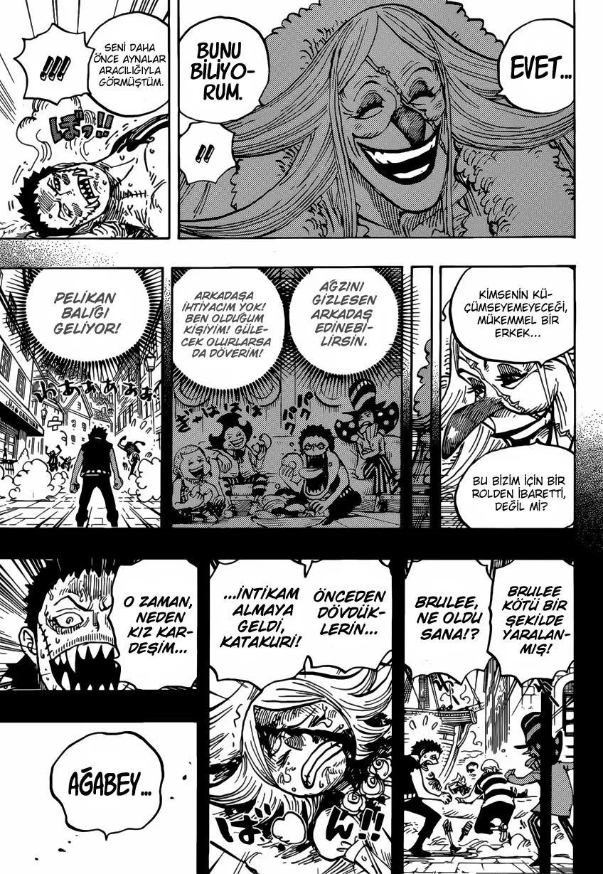 One Piece - Sayfa 13